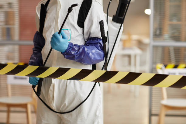 Professional Sewage Cleanup technician working in Gillette, NJ